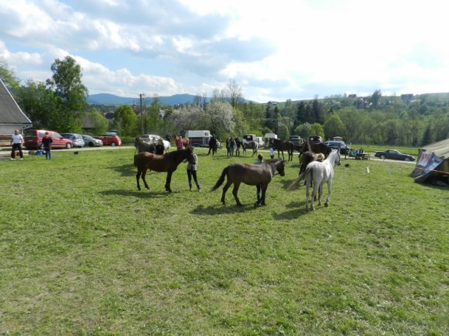 Rajd Mszana Górna 2015